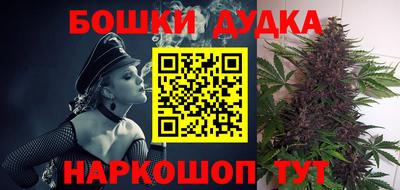 прущие грибы Лесосибирск