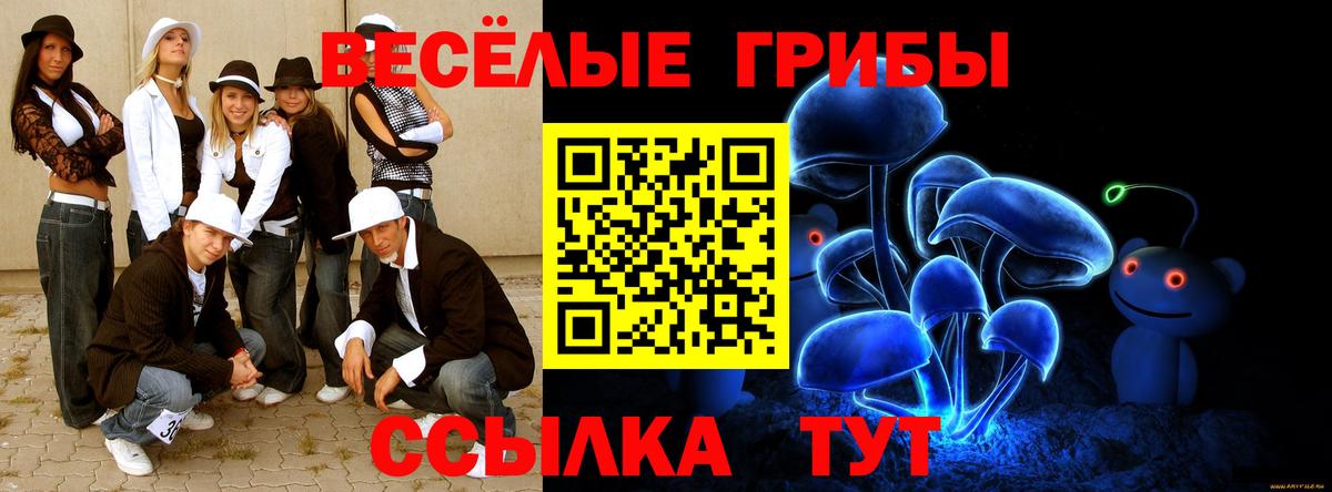 Псилоцибиновые грибы прущие грибы  Вход с VPN  где продают наркотики  Ижевск 